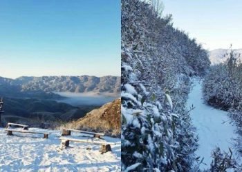 Nagaland Village Witnesses Snowfall After 37 Years