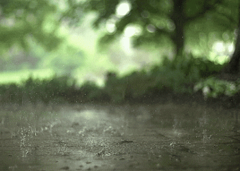 Rain in NE : Arunachal , Nagaland , Manipur , Mizoram & Tripura to see heavy rains