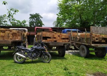 Assam: Timber smuggling continues  in Kokrajhar, logs  worth of Rs. 5 lakhs seized