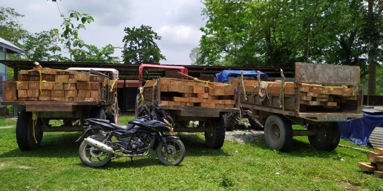 Assam: Timber smuggling continues in Kokrajhar, logs worth of Rs. 5 lakhs seized