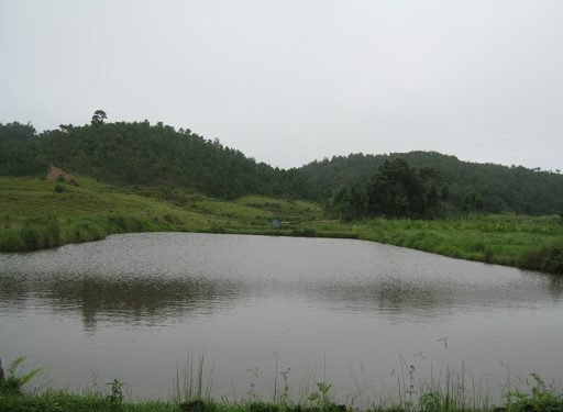 Rs 2 crore fishery project in Meghalaya  goes to waste?