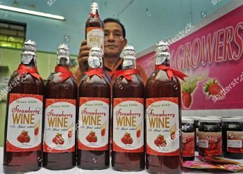 Meghalaya Govt  Approves Sale Of Homemade Fruit Wines