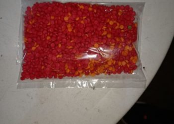 Meghalaya :   South Garo Hills Police seize  1701  Yaba tablets