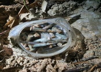 Meghalaya : Huge cache of Arms and Ammunitation recovered in Nengmadalgre