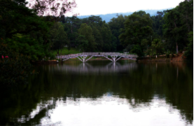 Meghalaya :Shillong voted as India’s Favorite Hill Station