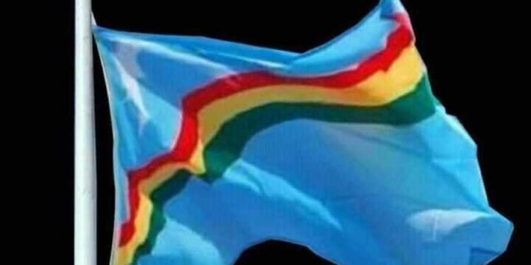 No separate flag, constitution: Governor Ravi on Naga political issue