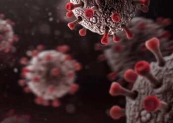 3 more Covid deaths  in Meghalaya    ;  Toll  now at  128