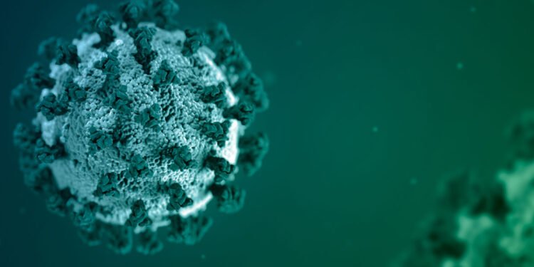 Meghalaya : 1 more Covid patient dies in Shillong ; Toll rises to 112