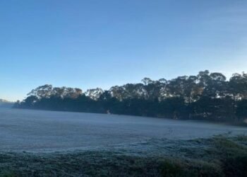 No snowfall !  Shillong experiences first  ever heavy  frost today