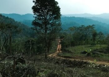 Meghalaya : Nongkhyllem  adjudged as   the  best protected  sanctuary in NE