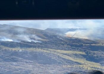 Raging forest fire in Dzukou Valley finally under control ( IN  PICS )