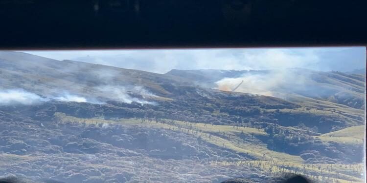 Raging forest fire in Dzukou Valley finally under control ( IN PICS )