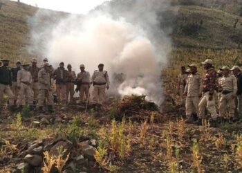 Manipur Police busts brown sugar factory