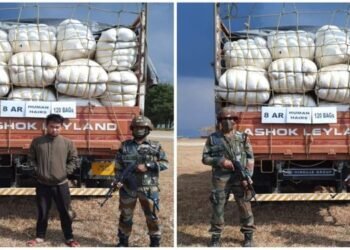 Assam Rifles seizes 120 sacks  of human hair  in Mizoram