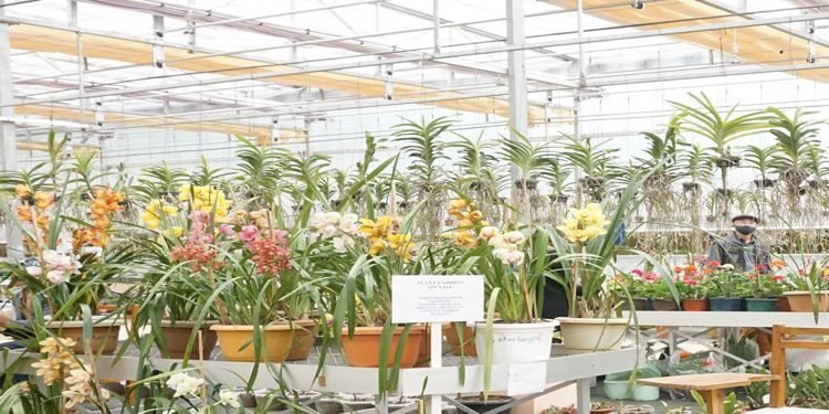 Meghalaya : Orchidarium reopened  at IBSD Shillong with an  Exhibition