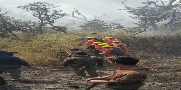 Manipur : CM Biren Seeks Centre’s Help After Fire At Shirui Peak