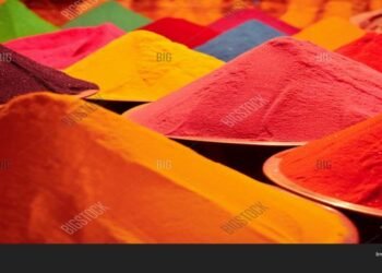 Meghalaya bans public celebrations of Holi amid rising COVID cases