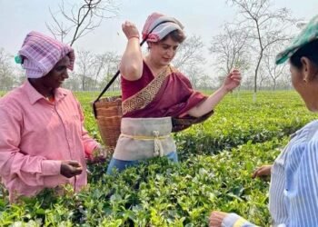 Priyanka Gandhi tries hand at plucking tea leaves in Assam