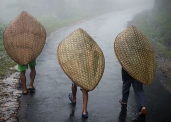 Assam, Meghalaya, Tripura and Mizoram to Get Lashed by Very Heavy Rains from Mar 29-31  : IMD