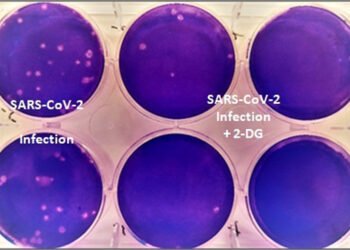 DCGI approves anti-COVID drug developed by DRDO for emergency use
