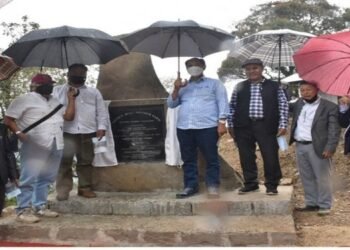 Mithun; A symbol and identity of Nagas says CM Rio