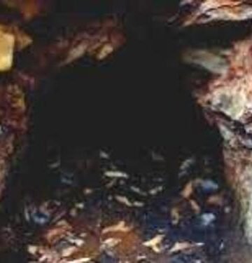 Meghalaya : 5 Miners feared trapped in East Jaintia Hills  Coal Mine