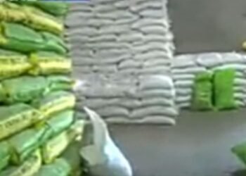 Nagaland :  ‘Plastic Rice ‘ confiscated  from Dimapur Godown