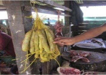 Activist complains against price hike of meat in Williamnagar during pandemic