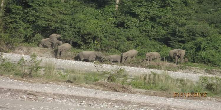 BTR : Raimona is  Assam’s sixth National Park