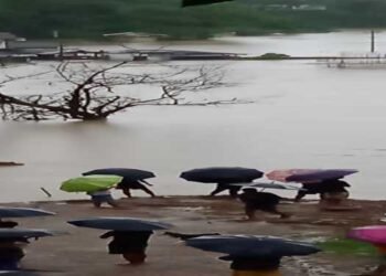 Garo Hills battered by rains, SGH worst hit even as more rains expected