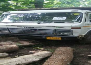 Tagged with a ‘PWD – On Duty’ sign dumper caught with illegal timber in Garo Hills