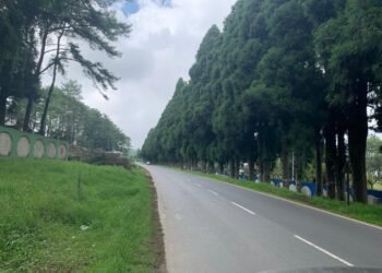 CM Conrad  stops  felling of   trees in Shillong for expansion Four Lane Road