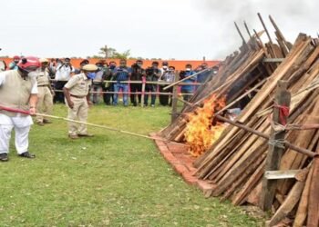 Illicit drugs business in Assam is worth Rs 5,000cr annually: CM