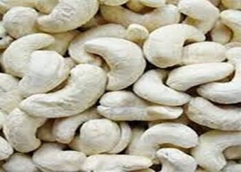 Cashew factories at residential areas in Phulbari cause health havoc