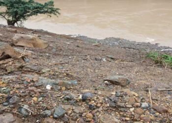 UAYF accuses construction company of environment destruction