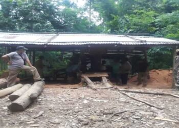 Illegal saw mill dismantled in North Garo Hills , timber and machineries seized