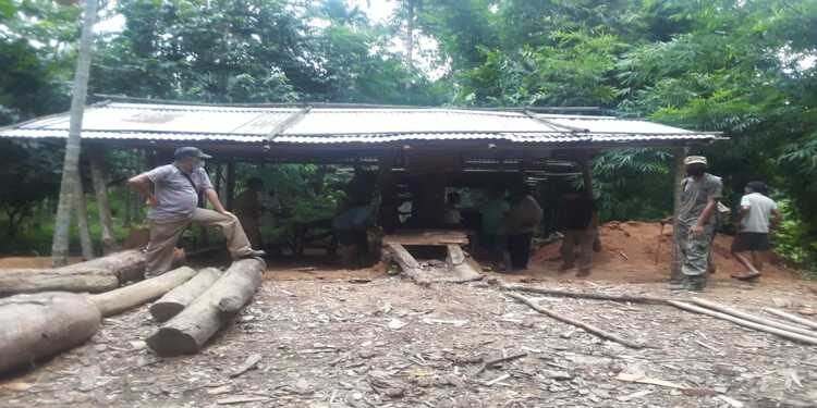 Illegal saw mill dismantled in North Garo Hills , timber and machineries seized
