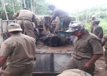 5 illegal timber mills seized in North Garo Hills , more than 150 CFT timber recovered