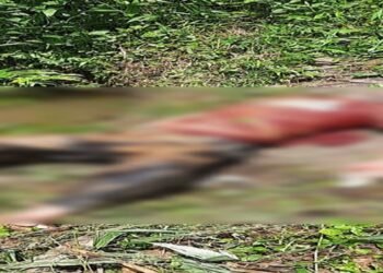 Man dies after falling into well in Tura