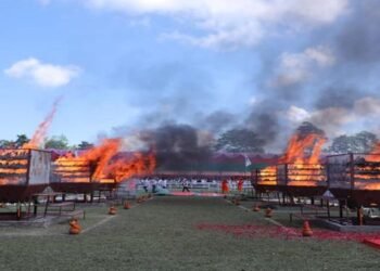 2479  rhino horns burnt  to prove that they have no medicinal value