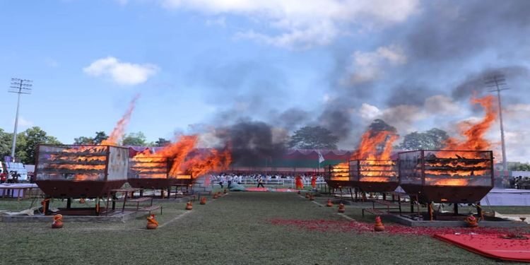 2479 rhino horns burnt to prove that they have no medicinal value