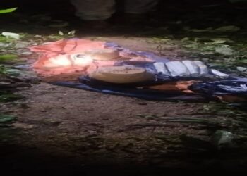 2 IEDs recovered near Tikrikilla in West Garo  Hills