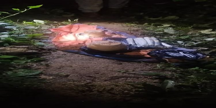 2 IEDs recovered near Tikrikilla in West Garo  Hills