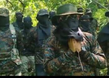 New militant outfit floated in BTR