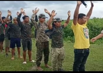 12 ULB militants  surrender in BTR