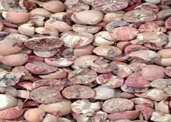 Umsning Town Durbar to  ban selling  of first yield agricultural produces from Nov 18