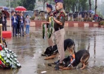 ‘Men’s best friend’ pays homage to Nagaland’s uniformed personnel