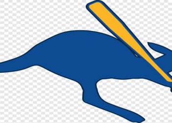 PPFA lambasts villagers’ diktat on woman, urges NCW to take action