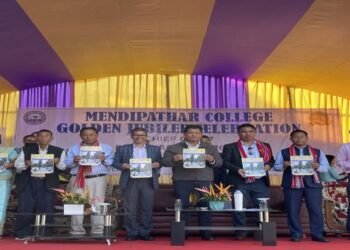 Government support to Mendipathar College in NGH