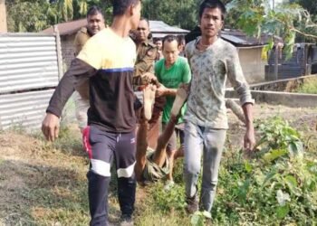 Elderly Man Trampled To Death By Jumbo in  Kokrajhar